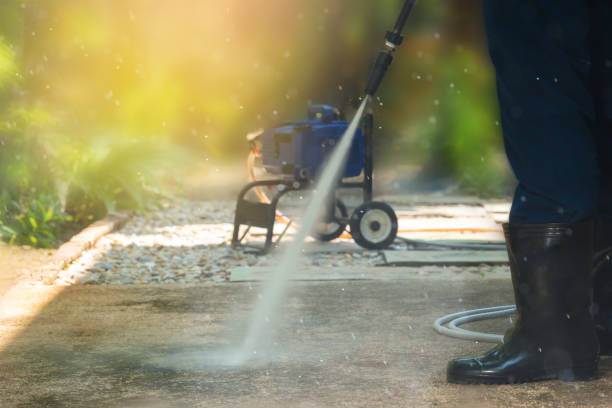 Animal Enclosure Cleaning in Comanche, OK